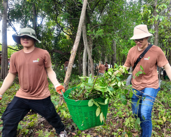 THE SUSTAINABLE FORESTATION PROJECT 2025