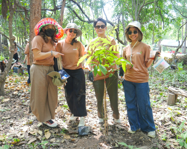THE SUSTAINABLE FORESTATION PROJECT 2025